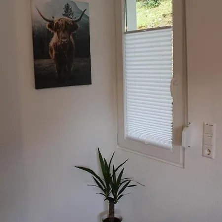 Rauhfelsen Appartement Baiersbronn