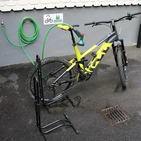 Rauhfelsen * Baiersbronn